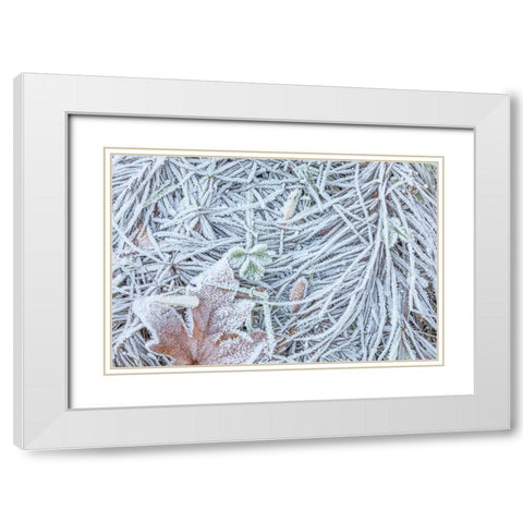 Maple Leaf and Frost II White Modern Wood Framed Art Print with Double Matting by Mahan, Kathy