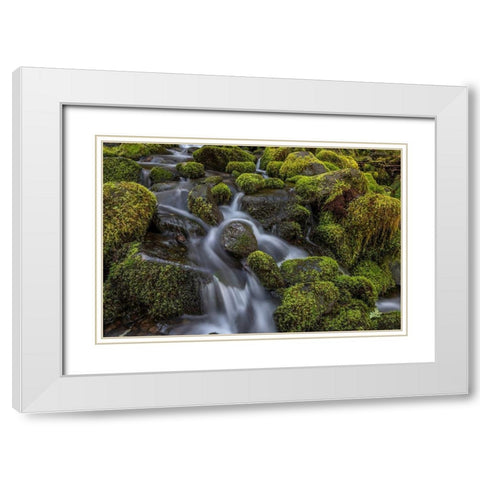 Cedar Creek Detail I White Modern Wood Framed Art Print with Double Matting by Mahan, Kathy
