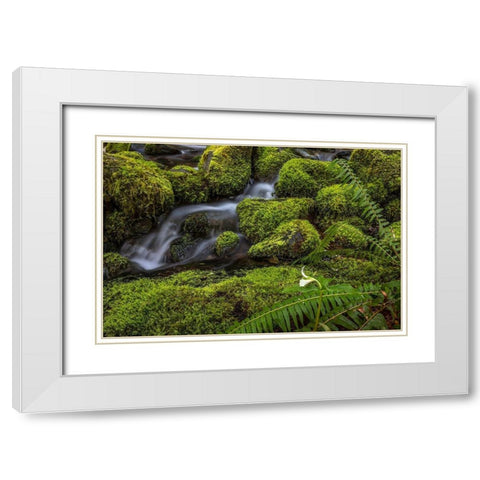 Cedar Creek Detail II White Modern Wood Framed Art Print with Double Matting by Mahan, Kathy