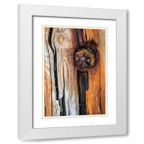 Wood Details I White Modern Wood Framed Art Print with Double Matting by Mahan, Kathy
