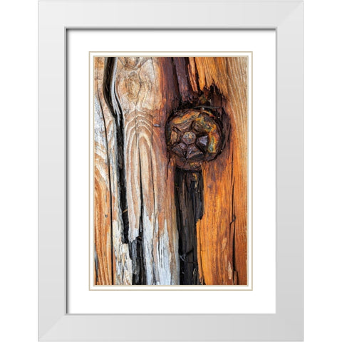 Wood Details I White Modern Wood Framed Art Print with Double Matting by Mahan, Kathy