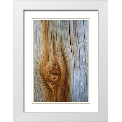 Wood Details III White Modern Wood Framed Art Print with Double Matting by Mahan, Kathy