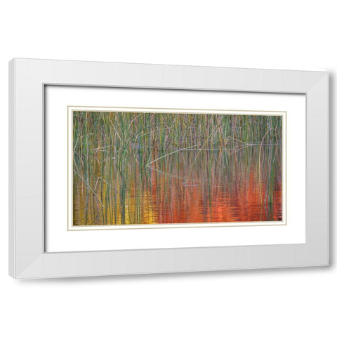 Fall Reflections I White Modern Wood Framed Art Print with Double Matting by Mahan, Kathy
