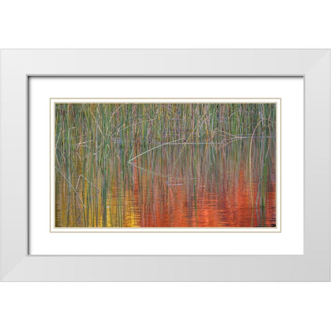 Fall Reflections I White Modern Wood Framed Art Print with Double Matting by Mahan, Kathy