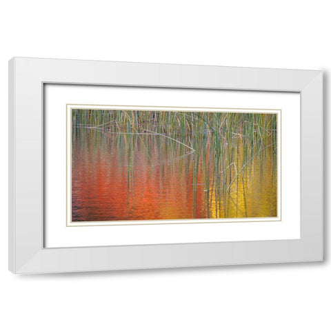 Fall Reflections II White Modern Wood Framed Art Print with Double Matting by Mahan, Kathy