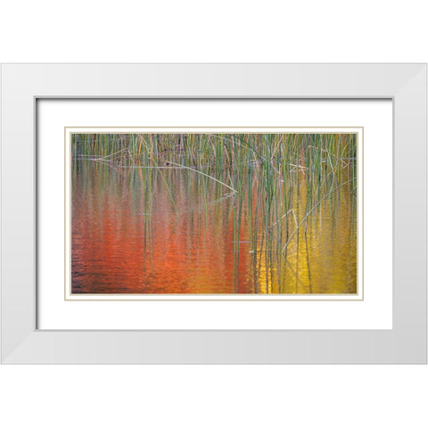 Fall Reflections II White Modern Wood Framed Art Print with Double Matting by Mahan, Kathy