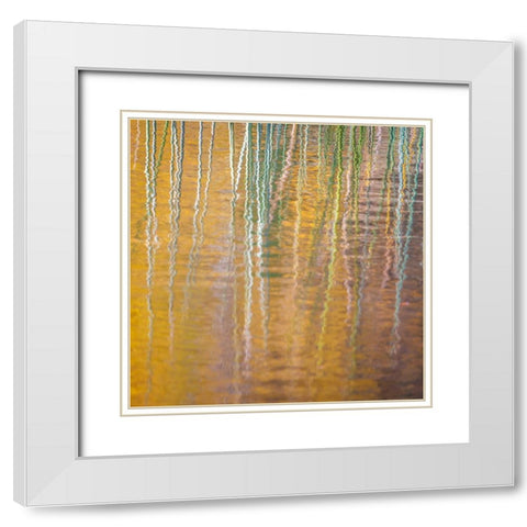 Fall Reflections III White Modern Wood Framed Art Print with Double Matting by Mahan, Kathy