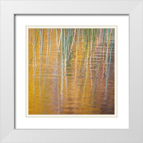 Fall Reflections III White Modern Wood Framed Art Print with Double Matting by Mahan, Kathy
