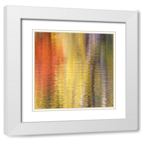 Fall Reflections IV White Modern Wood Framed Art Print with Double Matting by Mahan, Kathy