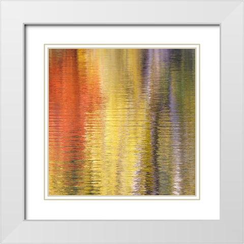 Fall Reflections IV White Modern Wood Framed Art Print with Double Matting by Mahan, Kathy