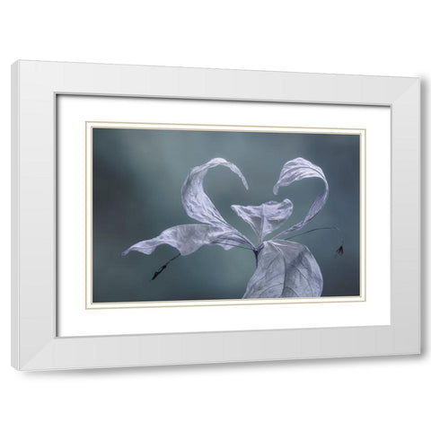Western Starflower II White Modern Wood Framed Art Print with Double Matting by Mahan, Kathy