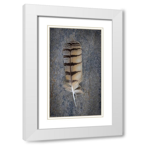 Feather Portrait IV White Modern Wood Framed Art Print with Double Matting by Mahan, Kathy