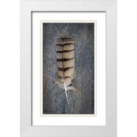 Feather Portrait IV White Modern Wood Framed Art Print with Double Matting by Mahan, Kathy