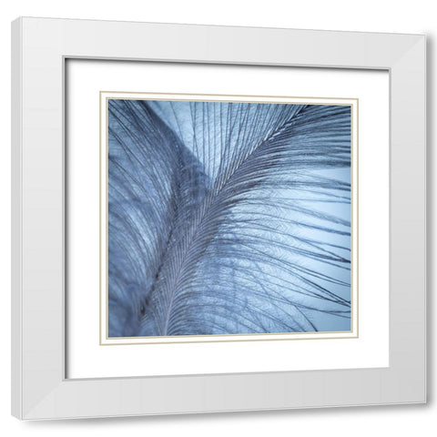 Downy Feather I White Modern Wood Framed Art Print with Double Matting by Mahan, Kathy