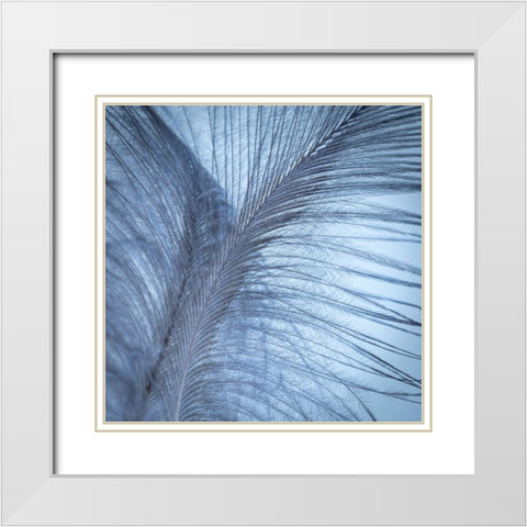 Downy Feather I White Modern Wood Framed Art Print with Double Matting by Mahan, Kathy