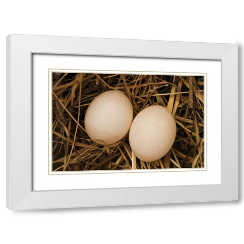 Eggs I White Modern Wood Framed Art Print with Double Matting by Millet, Karyn