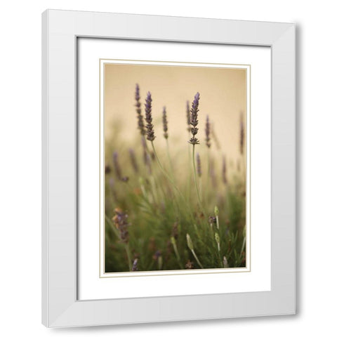 Lavender I White Modern Wood Framed Art Print with Double Matting by Millet, Karyn