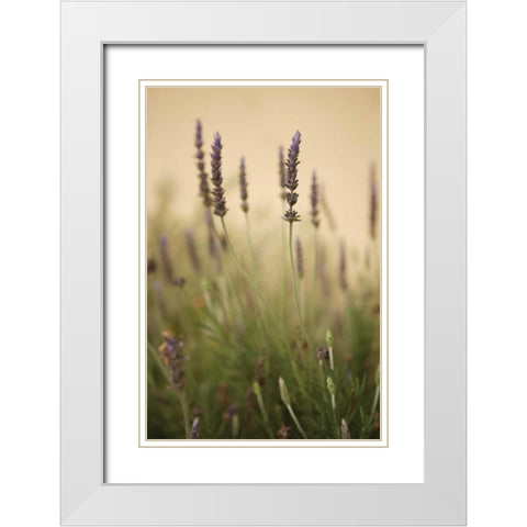 Lavender I White Modern Wood Framed Art Print with Double Matting by Millet, Karyn