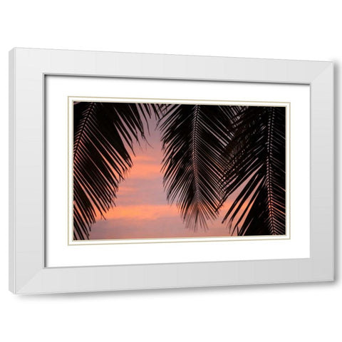 Palms at Sunset White Modern Wood Framed Art Print with Double Matting by Millet, Karyn