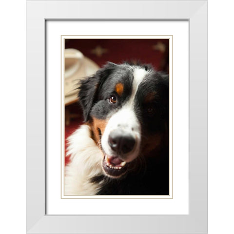 Ranch Dog White Modern Wood Framed Art Print with Double Matting by Millet, Karyn