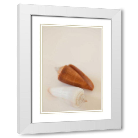 Shell by Shell I White Modern Wood Framed Art Print with Double Matting by Millet, Karyn