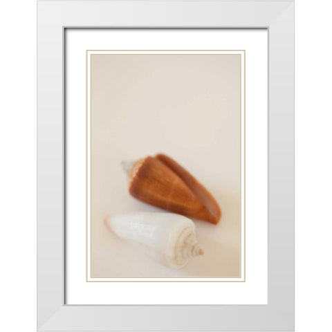 Shell by Shell I White Modern Wood Framed Art Print with Double Matting by Millet, Karyn