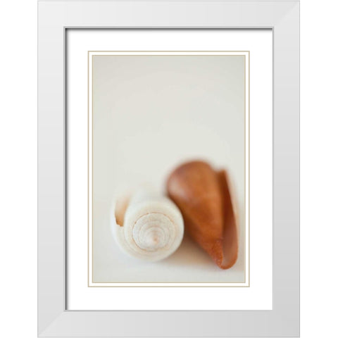 Shell by Shell II White Modern Wood Framed Art Print with Double Matting by Millet, Karyn