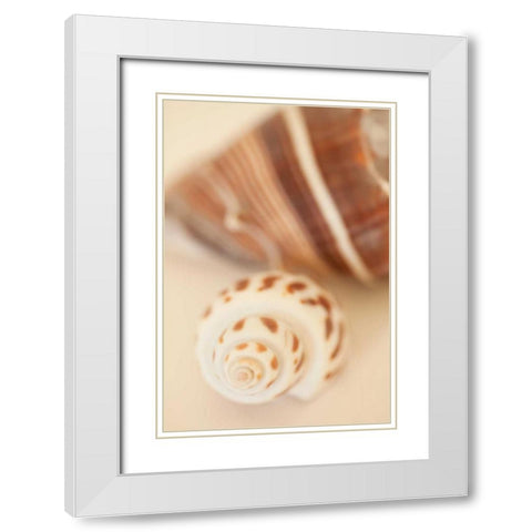 Shell by Shell III White Modern Wood Framed Art Print with Double Matting by Millet, Karyn