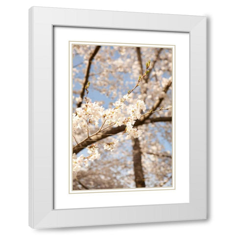 In Bloom I White Modern Wood Framed Art Print with Double Matting by Millet, Karyn