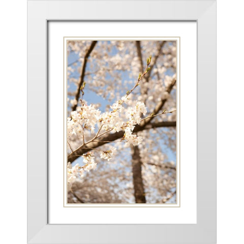 In Bloom I White Modern Wood Framed Art Print with Double Matting by Millet, Karyn