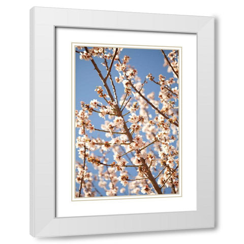 In Bloom VII White Modern Wood Framed Art Print with Double Matting by Millet, Karyn