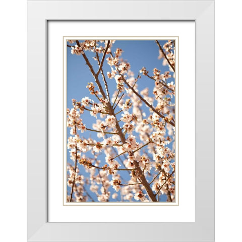 In Bloom VII White Modern Wood Framed Art Print with Double Matting by Millet, Karyn