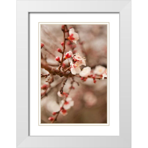 In Bloom XI White Modern Wood Framed Art Print with Double Matting by Millet, Karyn