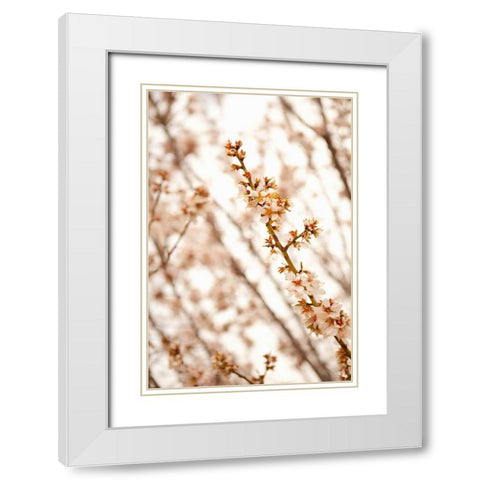 In Bloom XIV White Modern Wood Framed Art Print with Double Matting by Millet, Karyn