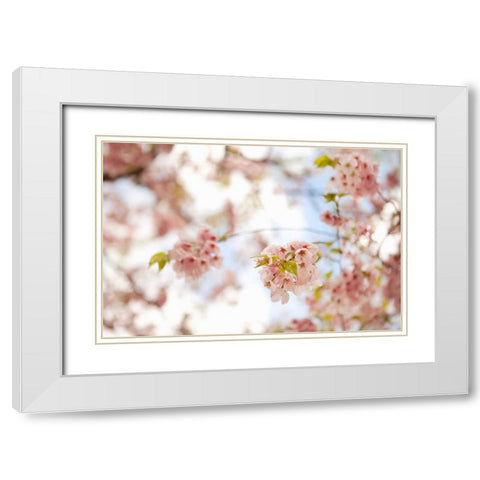 In Bloom XVI White Modern Wood Framed Art Print with Double Matting by Millet, Karyn