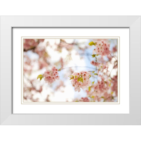 In Bloom XVI White Modern Wood Framed Art Print with Double Matting by Millet, Karyn