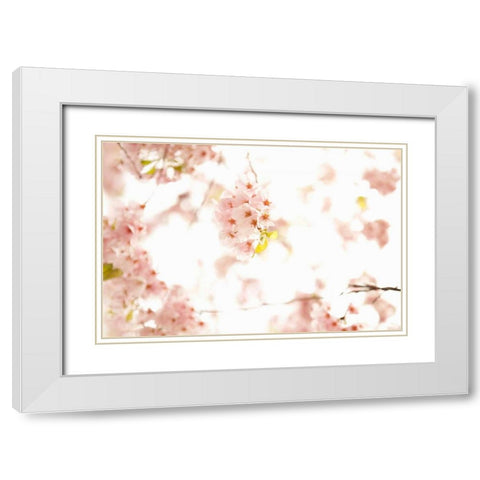 In Bloom XVII White Modern Wood Framed Art Print with Double Matting by Millet, Karyn