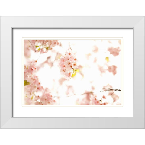 In Bloom XVII White Modern Wood Framed Art Print with Double Matting by Millet, Karyn