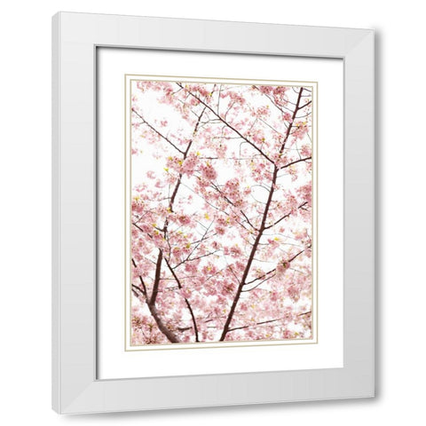 In Bloom XX White Modern Wood Framed Art Print with Double Matting by Millet, Karyn