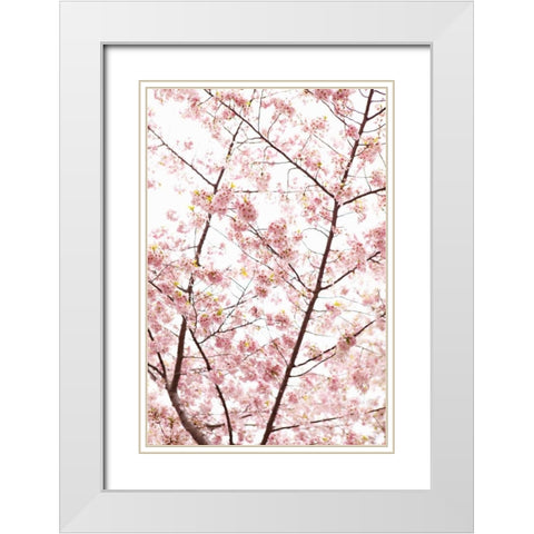 In Bloom XX White Modern Wood Framed Art Print with Double Matting by Millet, Karyn