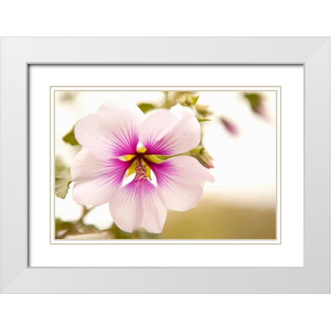 Macro Bloom I White Modern Wood Framed Art Print with Double Matting by Millet, Karyn