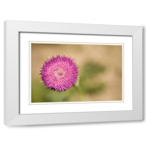Macro Bloom II White Modern Wood Framed Art Print with Double Matting by Millet, Karyn