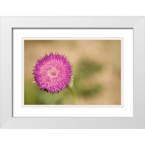Macro Bloom II White Modern Wood Framed Art Print with Double Matting by Millet, Karyn