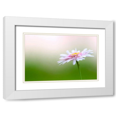Macro Bloom III White Modern Wood Framed Art Print with Double Matting by Millet, Karyn