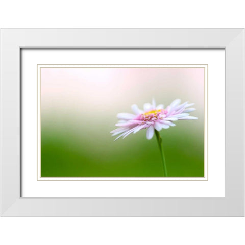 Macro Bloom III White Modern Wood Framed Art Print with Double Matting by Millet, Karyn