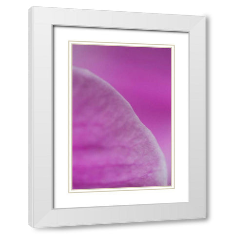 Purple I White Modern Wood Framed Art Print with Double Matting by Millet, Karyn