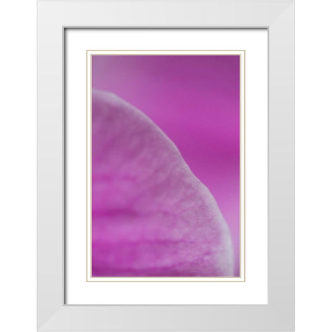 Purple I White Modern Wood Framed Art Print with Double Matting by Millet, Karyn