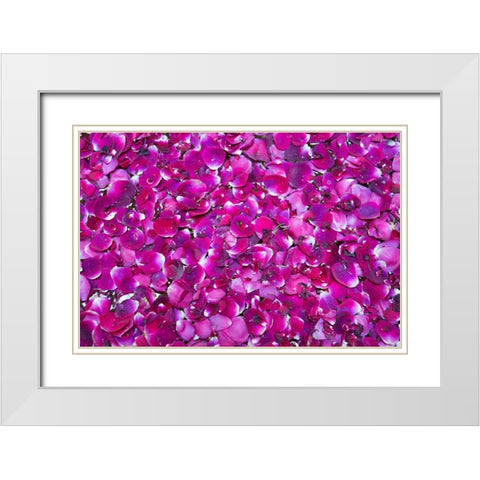 Pink Petals III White Modern Wood Framed Art Print with Double Matting by Millet, Karyn