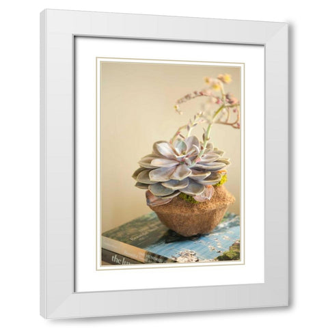 Small Succulent White Modern Wood Framed Art Print with Double Matting by Millet, Karyn