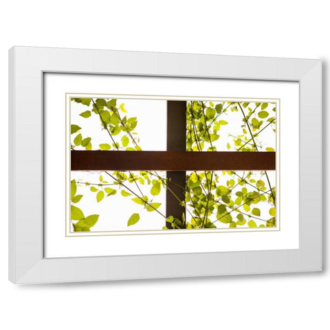 Branches and Lattice White Modern Wood Framed Art Print with Double Matting by Millet, Karyn